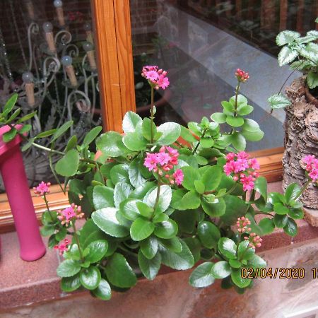 Caseron Trastamara รัสกาเฟรีย ภายนอก รูปภาพ