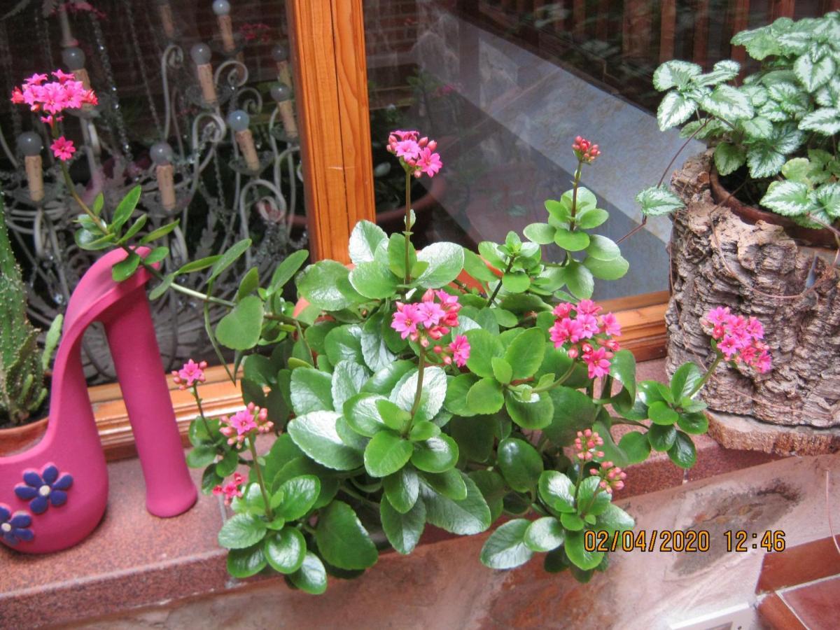 Caseron Trastamara รัสกาเฟรีย ภายนอก รูปภาพ